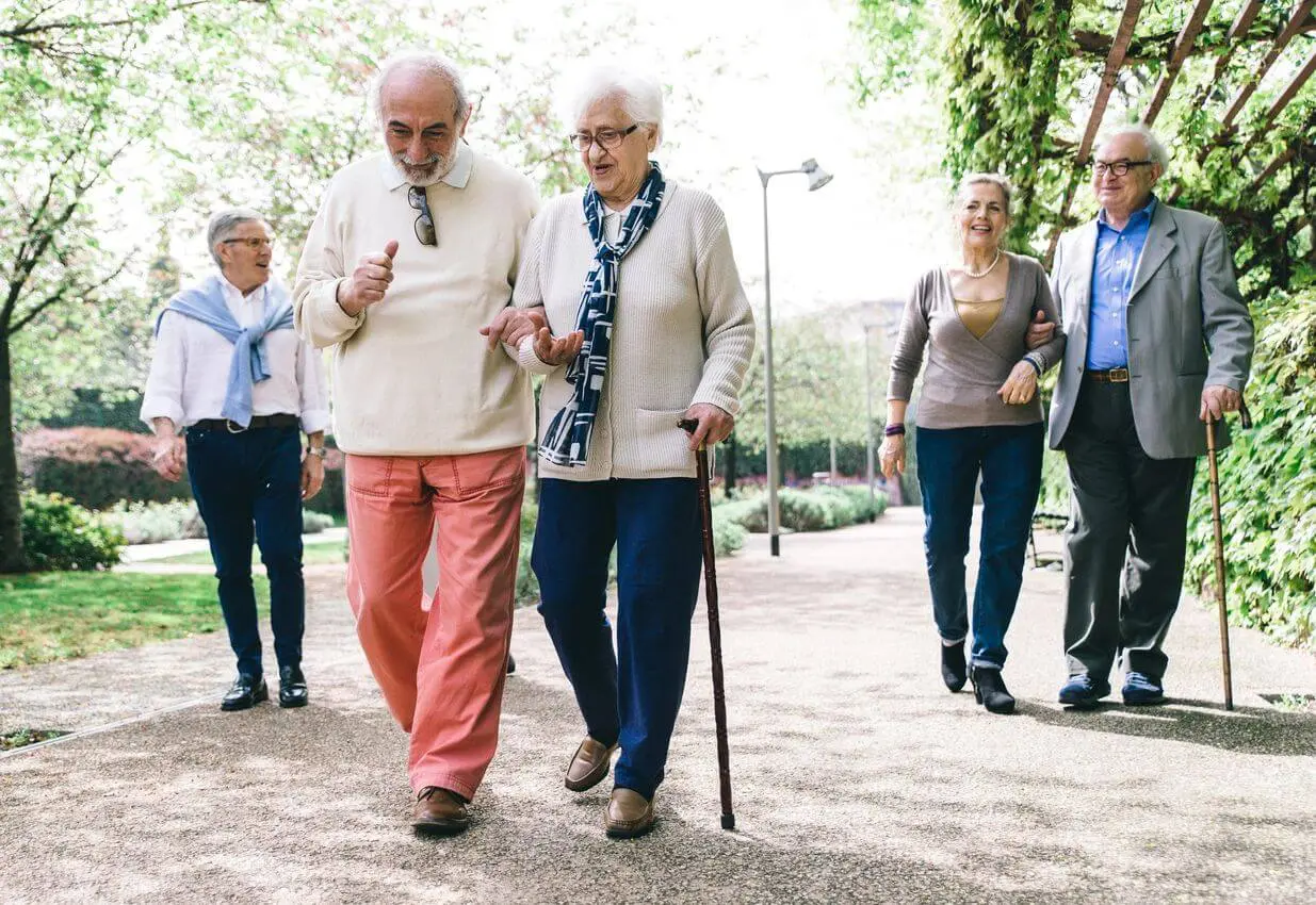 Happy smiling senior couple walking in park