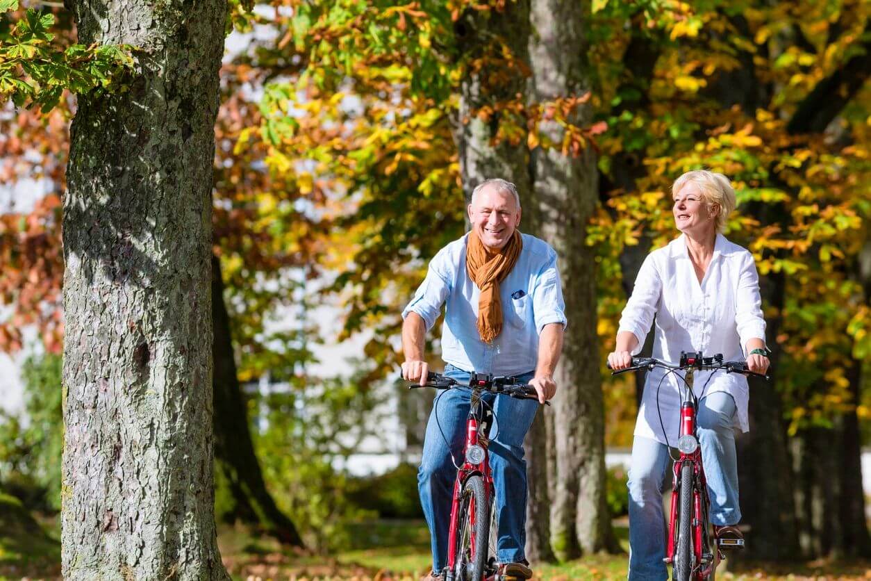 Seniors on bicycles having tour in park