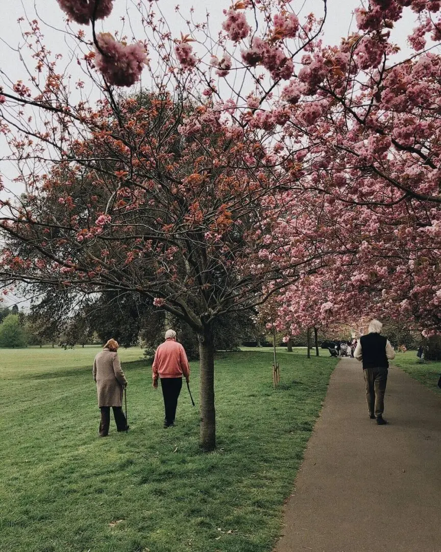 Old couple walking in park